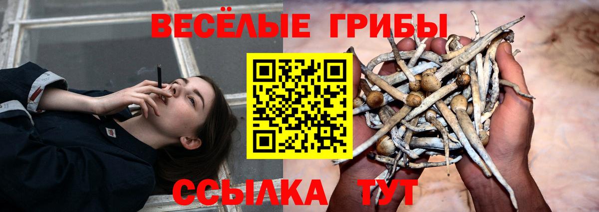 Псилоцибиновые грибы Psilocybine cubensis  Галлюциногенные грибы Psilocybine cubensis  Вход с VPN  Узловая 
