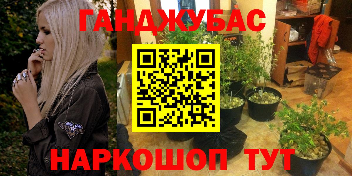 Бошки Шишки семена  Бошки Шишки MAZAR  Узловая  Вход с VPN  Бошки марихуана Bruce Banner 
